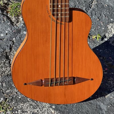 Rick Turner Renaissance RB5 5-String Bass 2000 a very rare Spruce Top w/tortoise binding. for sale