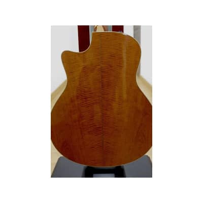 Guitarra Acustica y Amplificador TAYLOR BR-III Acoustic Guitar Amp Set image 7