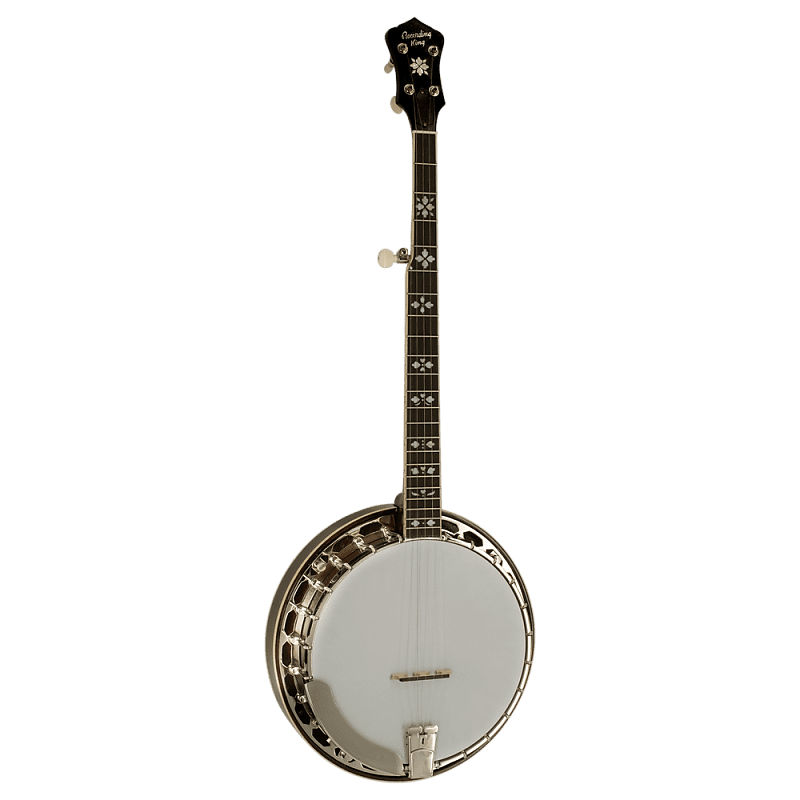 Recording King Songster Resonator Banjo RK-R20  5-String Tone Ring Closed Back image 1