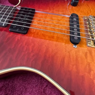 Jimmy Foster Performer 7-String Custom image 4