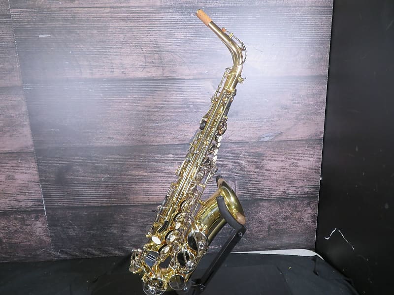 Selmer SAS301 Alto Saxophone (Jacksonville, FL) Reverb