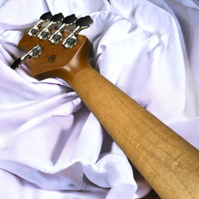 Ernie Ball Music Man StingRay 5 HH | Reverb