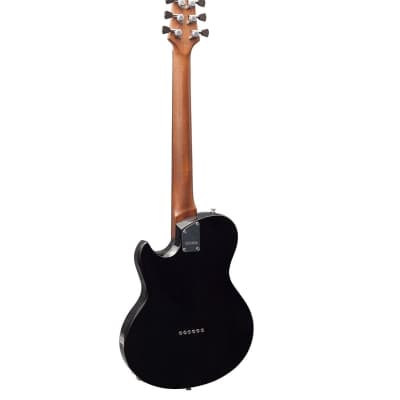 Shergold Provocateur SP01 Thru Black Electric Guitar P90 + Pearly Gates Humbucker image 3