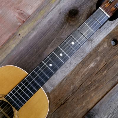 Washburn Model 1897 #111 Parlor Guitar 1903-1904 - Natural image 14