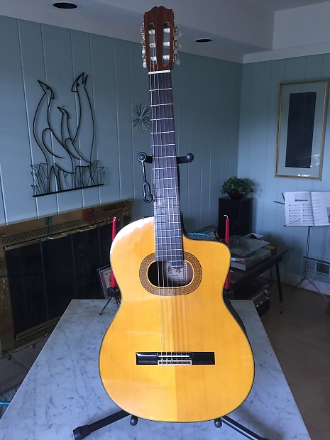 Takamine E 30 Classical Acoustic Electric 1988 Nice