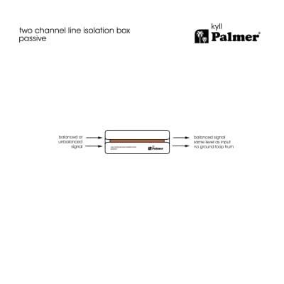 Palmer River Series kyll Passive 2-Channel Line Isolation Box image 8