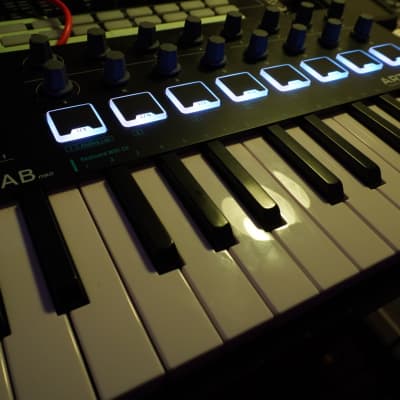 Arturia MiniLab MKII 25-Key MIDI Controller 2017 - 2021 Black