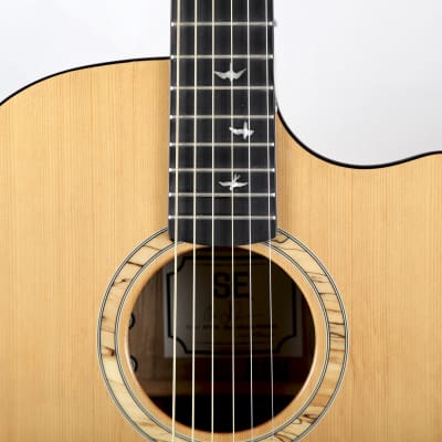 PRS SE Alex Lifeson Signature Thinline | Reverb Canada