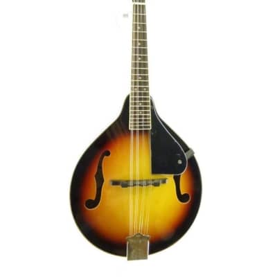 Lucky Penny A-Style Acoustic Bluegrass Mandolin in a Violinburst FInish image 1