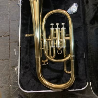 Maestro Alto Horn with case and mouthpiece. Gold color image 2