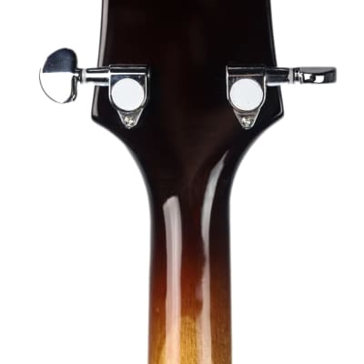 Eastwood TG-150 Basswood Maple Veneer Archtop Body Maple Set Neck 4-String Tenor Electric Guitar w/Hardshell Case image 6