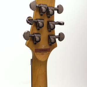 Schecter Guitar Research Damien Elite-6 FR Electric Guitar