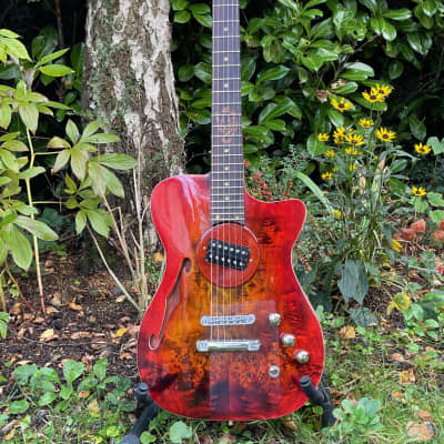 NAH Guitars Telstar 2 Custom 2021 Poplar Burl Yellow - Red Burst image 5