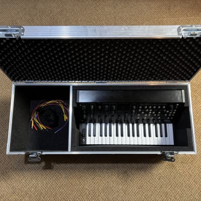 Korg MS-20 Mini + CUSTOM Flight Case (Swan Flight)