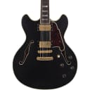 D'Angelico Deluxe Series DC Semi-Hollowbody Electric Guitar with Custom Seymour Duncan Pickups and Stopbar Tailpiece Regular Midnight Matte