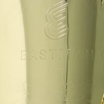 Eastman Model EBB534 Professional BBb 4/4 Piston Valve Tuba BRAND NEW image 3