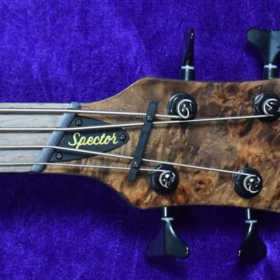 Spector NS Dimension 4-String, Super Faded Black Gloss Over Poplar Burl / Wenge image 3