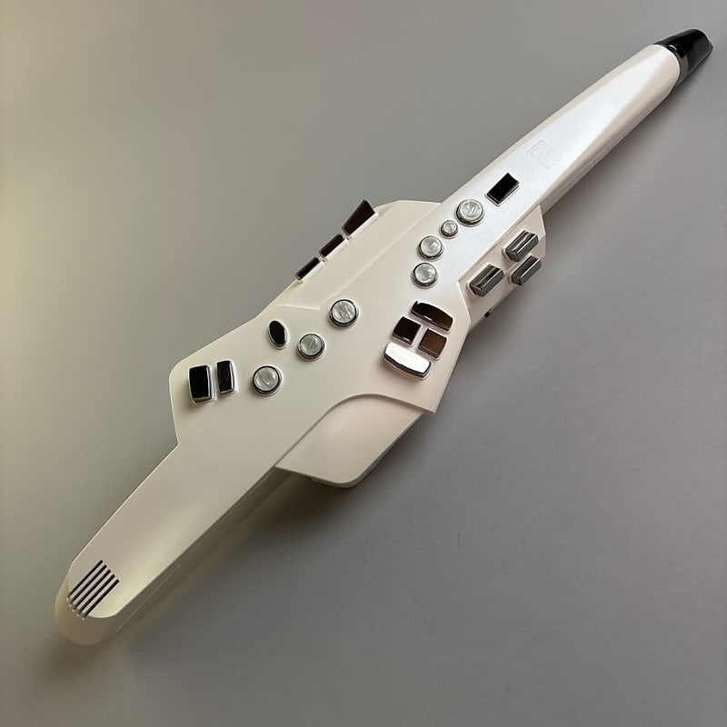 エアロフォン Roland AE-10 Amazon.com: Roland Aerophone Digital Wind Instrument, White (AE-10