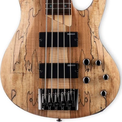 ESP LTD B-205SM 5-String Bass Guitar, Natural Satin image 2