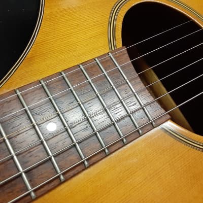 店内商品がすべてレジにて半額！！ Vantage Fishman / '89 1980- MIJ Style Craviola LT CL15 弦楽器