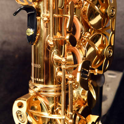 Cannonball Alto Saxophone image 6