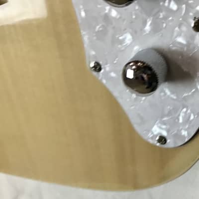 MORTone Semi hollow 10 string electric mandocello / cittern guitar conversion image 5