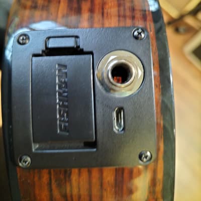 Cordoba ukulele 22S with Fishman image 10