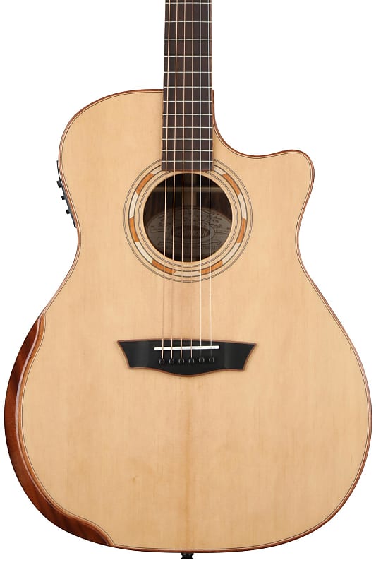 Washburn g25sce deals