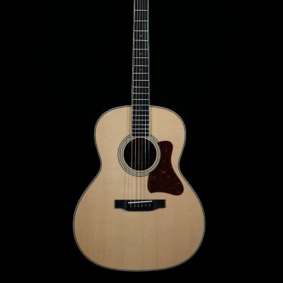 Collings C100 Deluxe G, German Spruce Top, Indian Rosewood - VIDEO for sale