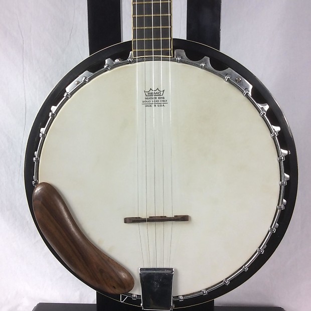 Delta ridge 5 STRING BANJO