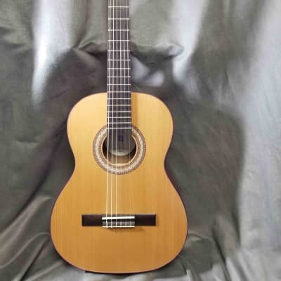 Manuel Rodriguez TRADICÍON Series T-62 7/8 Size Classical Guitar image 3