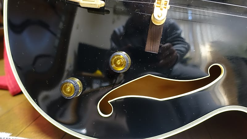 【特価】 PM100 Ibanez Pat Canada Reverb | Signature Metheny ギター