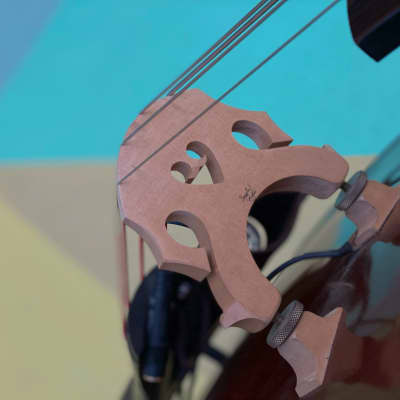 Benedict Puglisi 3/4 Double Bass image 12