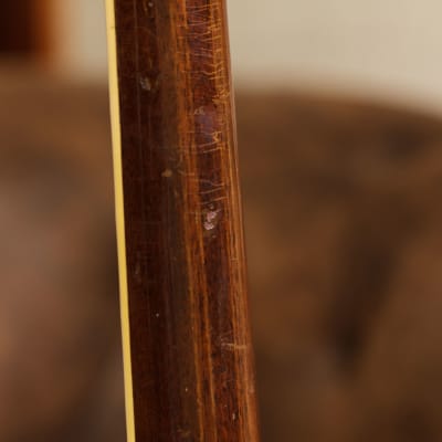 Gibson Firebird III 1964 - sunburst image 13