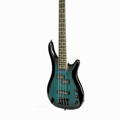 Glen Burton GBSRB-BLS Basswood Body Maple Neck 4-String Electric Bass Guitar w/Gig Bag, Strap, Cable, Picks, Strings & Key image 3