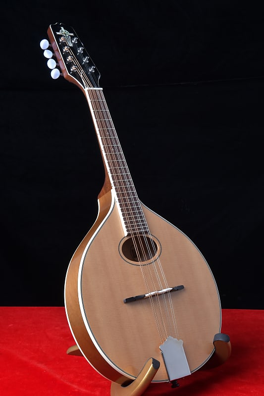 Trinity College TM-250 Traditional Celtic Mandolin | Reverb