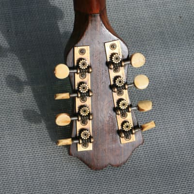 MANDOLIN ANTIQUE ITALIAN BOWLBACK ‘IL GLOBO’ 1890s ITALY image 18