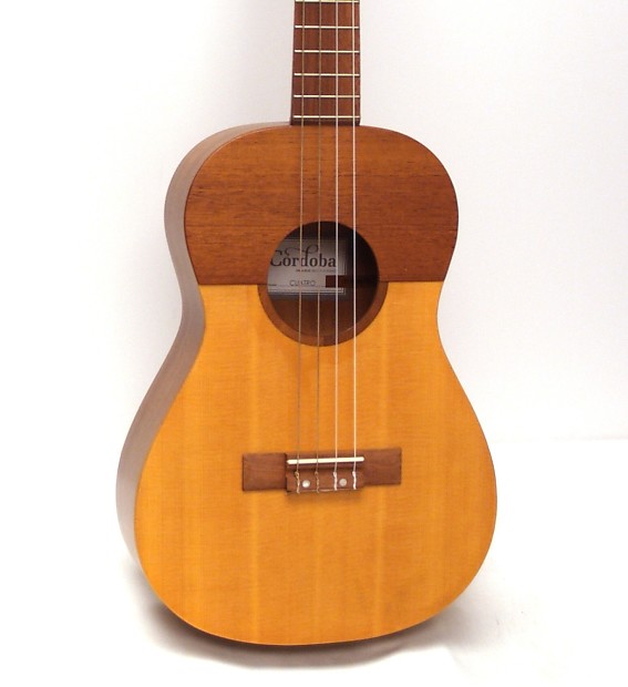 Cuatro ukulele shop