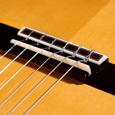 Masaki Sakurai Concert-R 2020 Classical Guitar Spruce/Indian Rosewood image 2