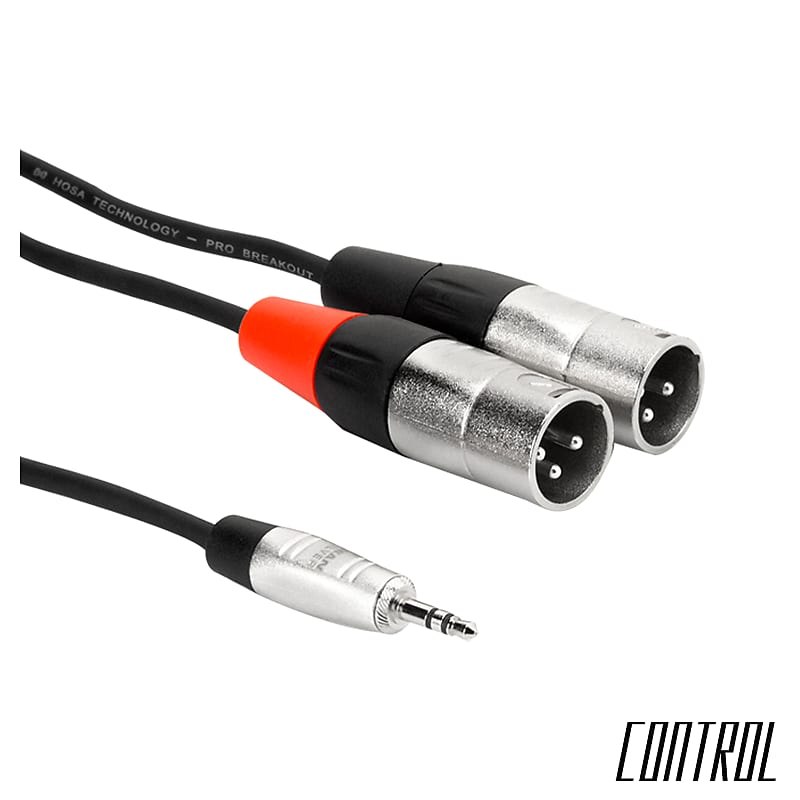 Hosa Pro Stereo Breakout REAN 3.5 mm TRS to Dual XLR3M - 6ft image 1