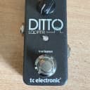 TC Electronic Ditto Looper 2013 - Present - Black