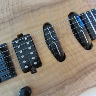 2021 Fodera Custom Monarch Guitar w/OHSC & COA image 10