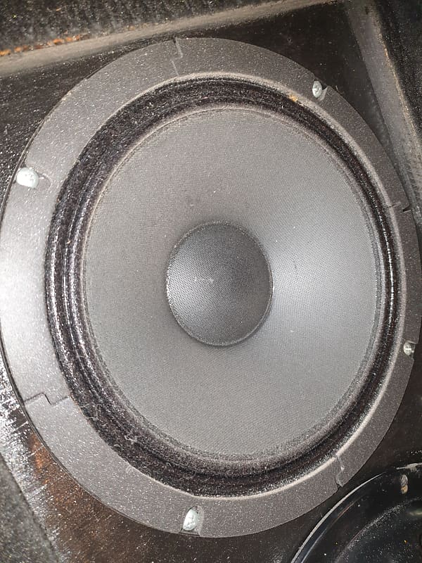 Lorantz x2 Guitar/Bass speakers 10 inch 2020 Black Reverb UK