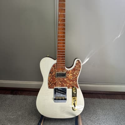 Partscaster Tele- style 2023 - Gloss image 1