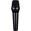 Lewitt Audio MTP 550 DM Cardioid Dynamic Live Sound Vocal Microphone