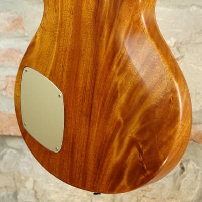 PATRICK JAMES EGGLE Macon Single Cut - RedWood 1 Piece with Ebony Parts - Double Stained and Burst image 18