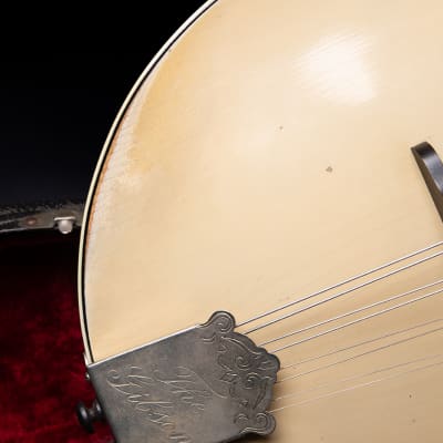 Gibson Mandoline A3 1919 - Ivory image 7