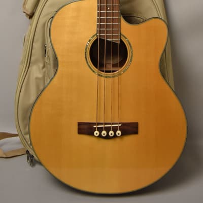 2004 Fender GB-41SCE Acoustic Bass Natural w/Gig Bag image 1