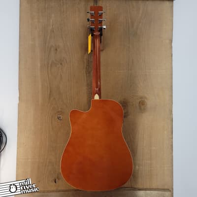 RW Jameson Acoustic Guitar Used image 5