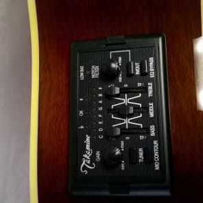 Takamine sales eg 530